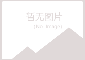 铜官山区冰枫金属有限公司